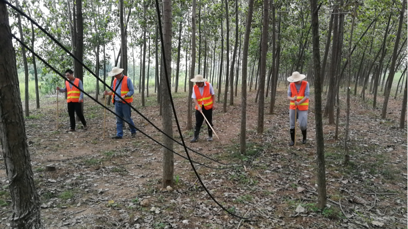 (图为排查江堤工作)